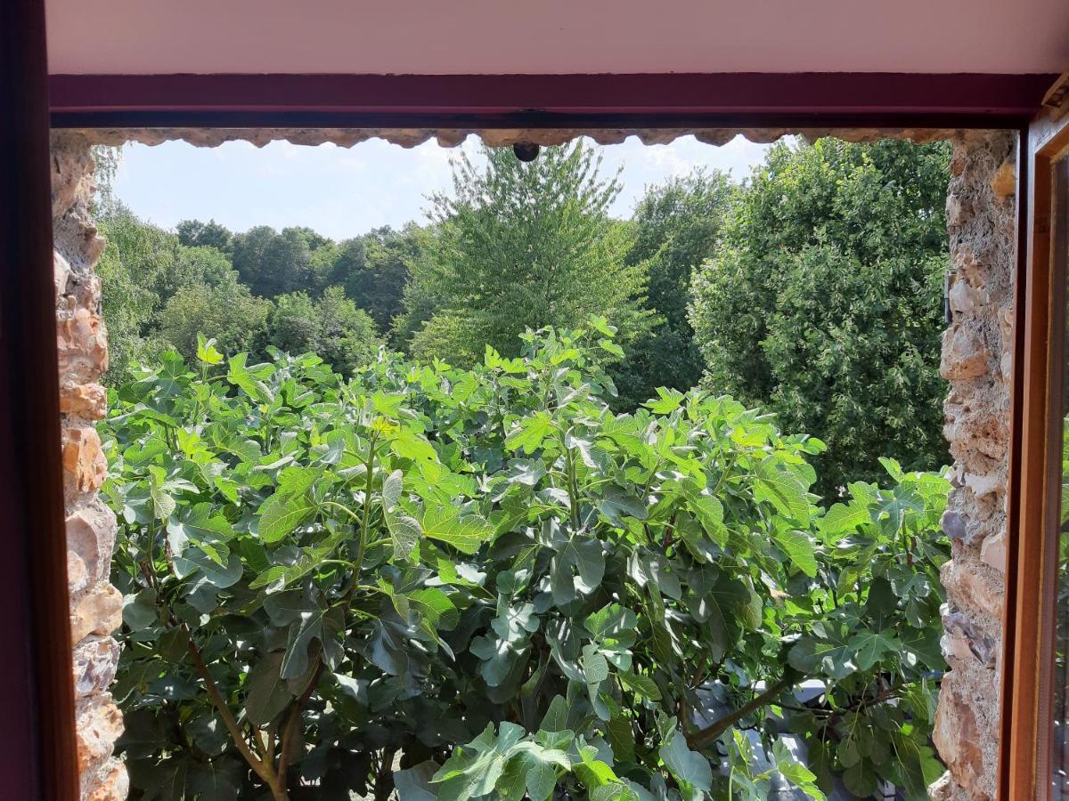 La Grange Des Lisieres Bed and Breakfast Rouvres  Buitenkant foto